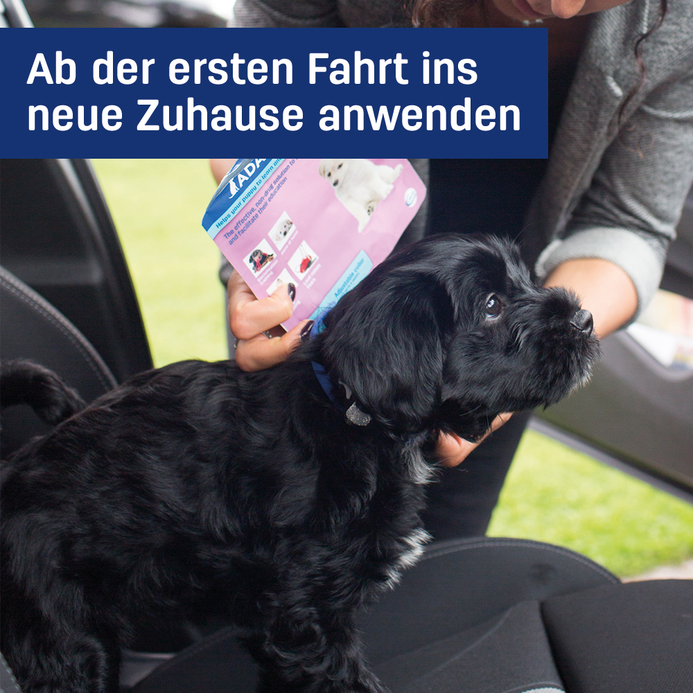 ADAPTIL Beruhigungsmittel ADAPTIL Junior Halsband Anti Stress Erziehungshalsband