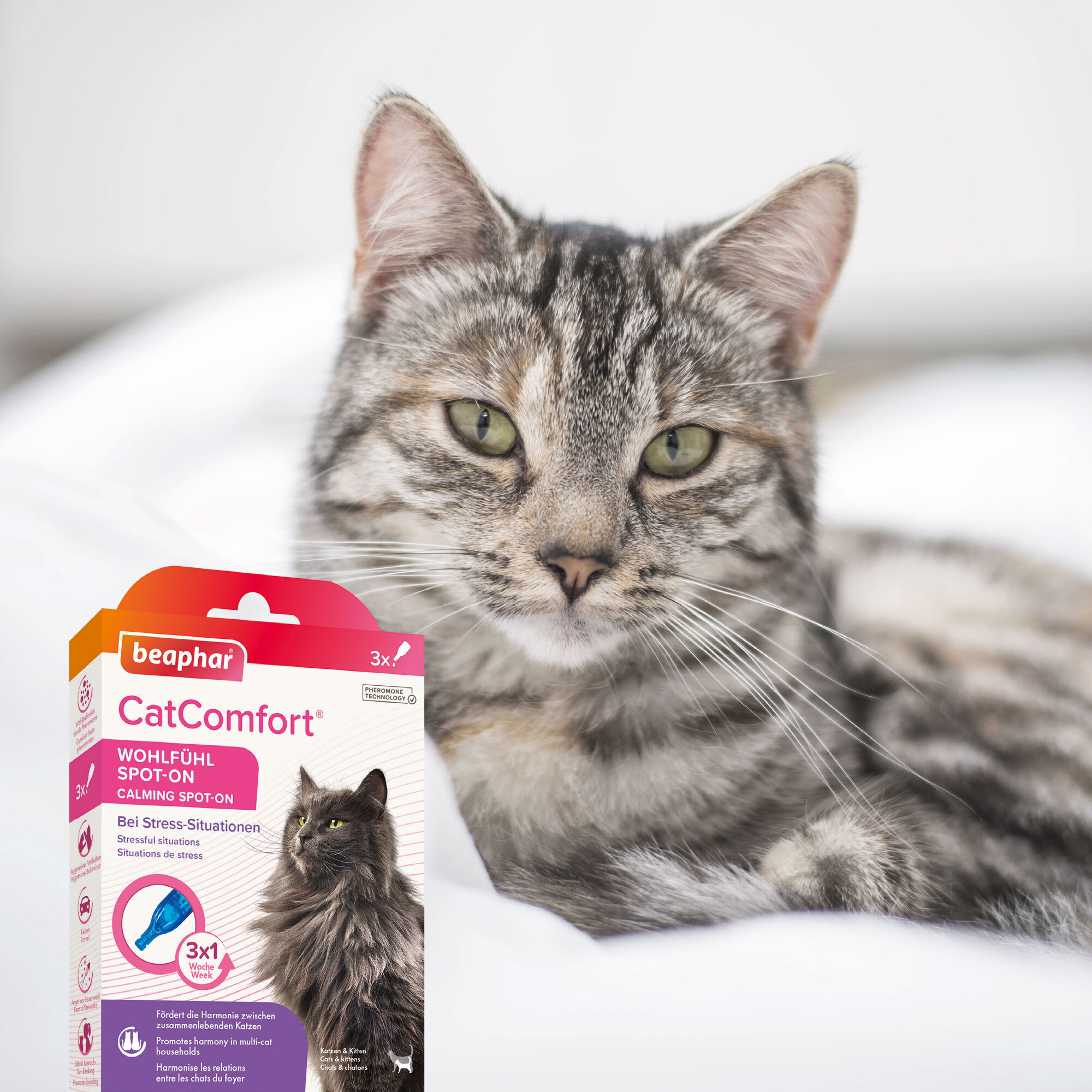 Beaphar Beruhigungsmittel Beaphar CatComfort Wohlfühl Spot-On 3x055 ml