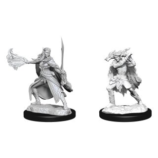 D&D Nolzur's Marvelous Miniatures: Winter Eladrin & Spring Eladrin (2)