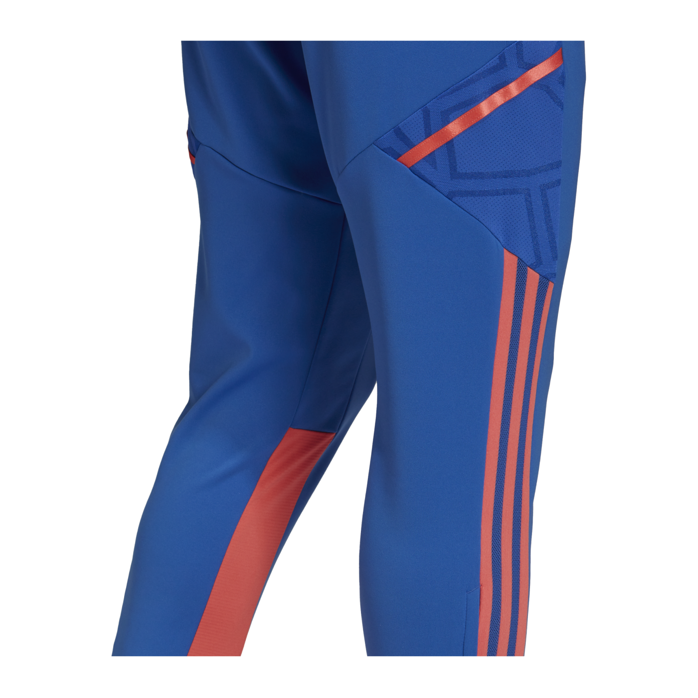 adidas Condivo Predator Trainingshose Blau Rot