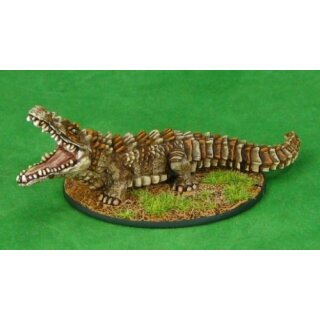 Dire Crocodile (REA03422)