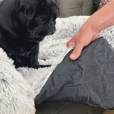Kuschelbett Sofa Cloud Waterproof