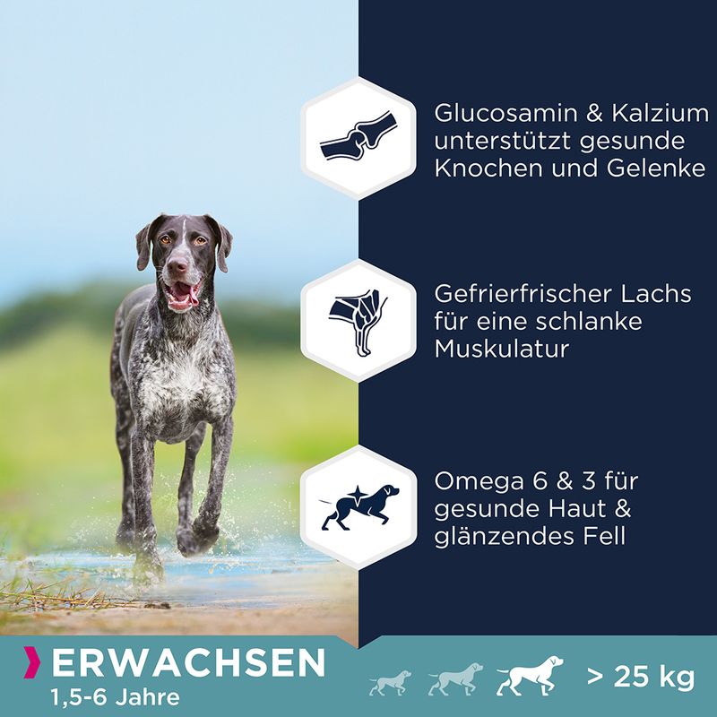 Eukanuba Grain Free Adult Large Dogs mit Lachs
