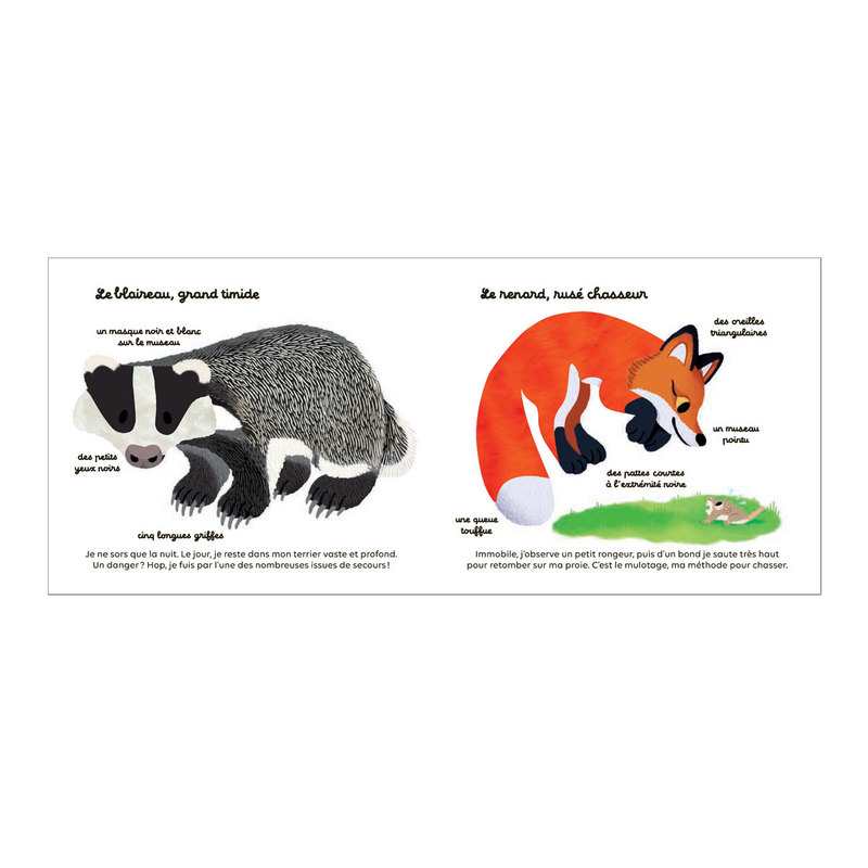 Livre Les animaux de la forêt à toucher - Milan Jeunesse