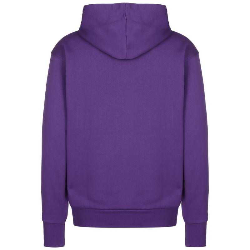Nike NBA Phoenix Suns Essential Hoodie Herren