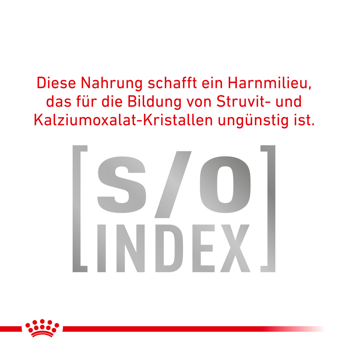 ROYAL CANIN Veterinary DIABETIC Nassfutter für Katzen