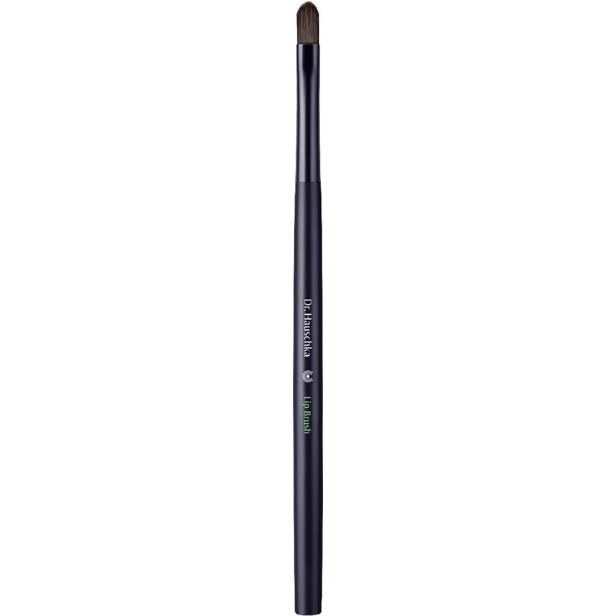 Lip Brush