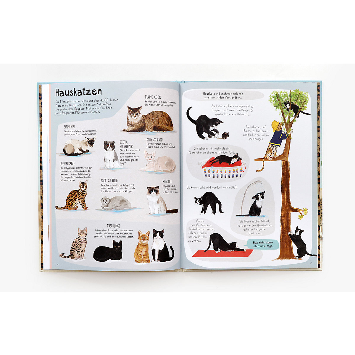 Das Katzen-Buch