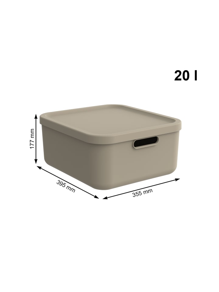 Rotho Albula Light 2er-Set Aufbewahrungskiste 20l in Cappuccino günstig kaufen onesize