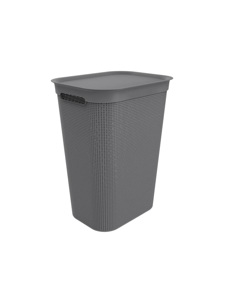 Rotho Brisen Wäschebox 50l mit Deckel und Griffe in Anthrazit günstig kaufen onesize