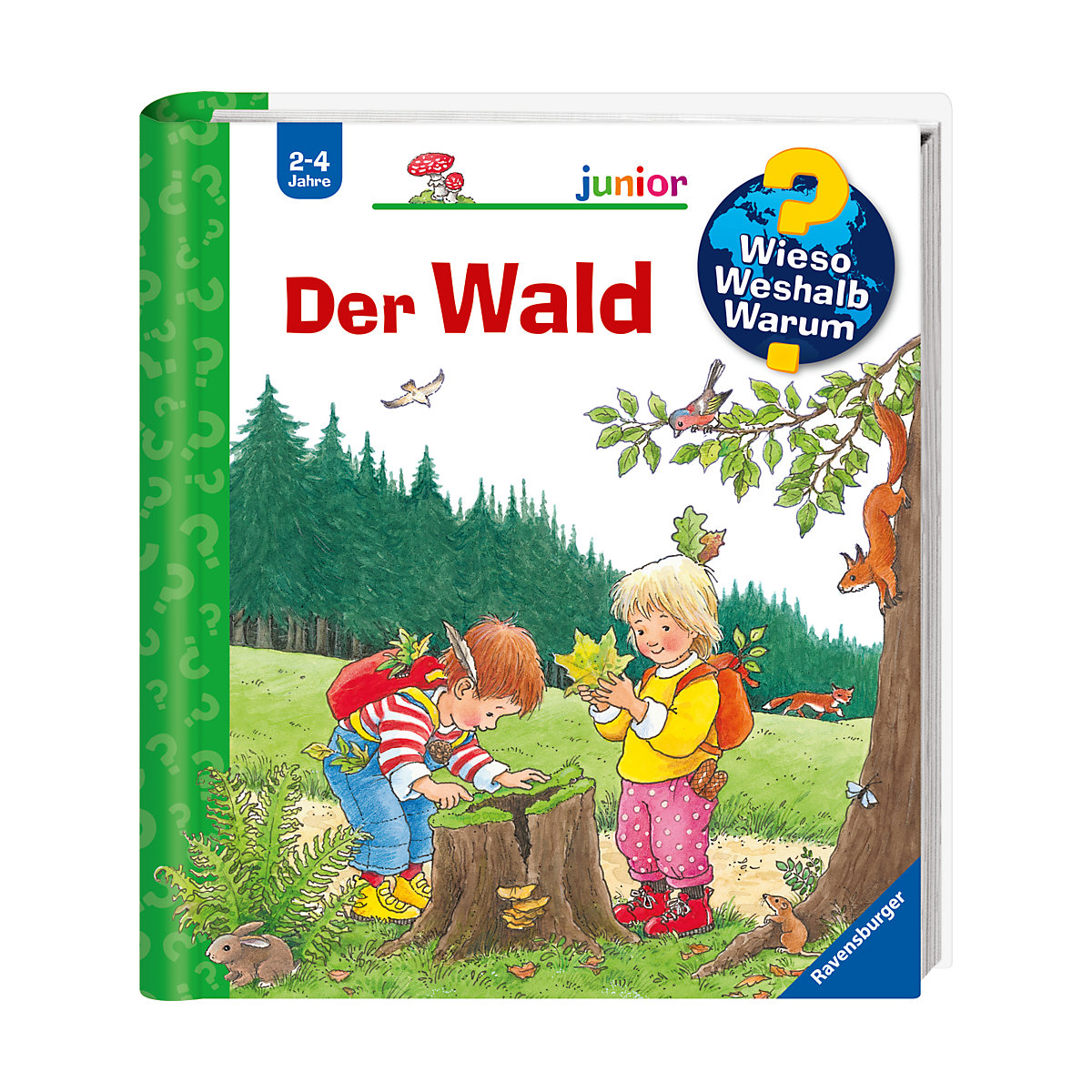 WWW junior Der Wald