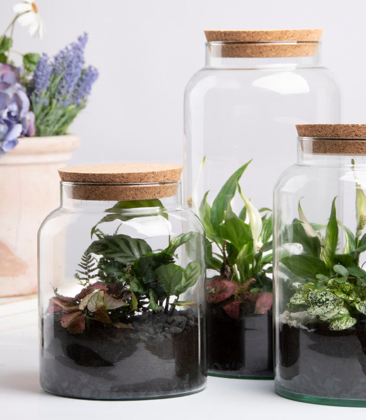 esschert design Gewächshaus Halboffene Terrarium Flasche Glas 10 L Pflanzen Deko Gewächs Haus Blumen Kork, Terrarium Flasche