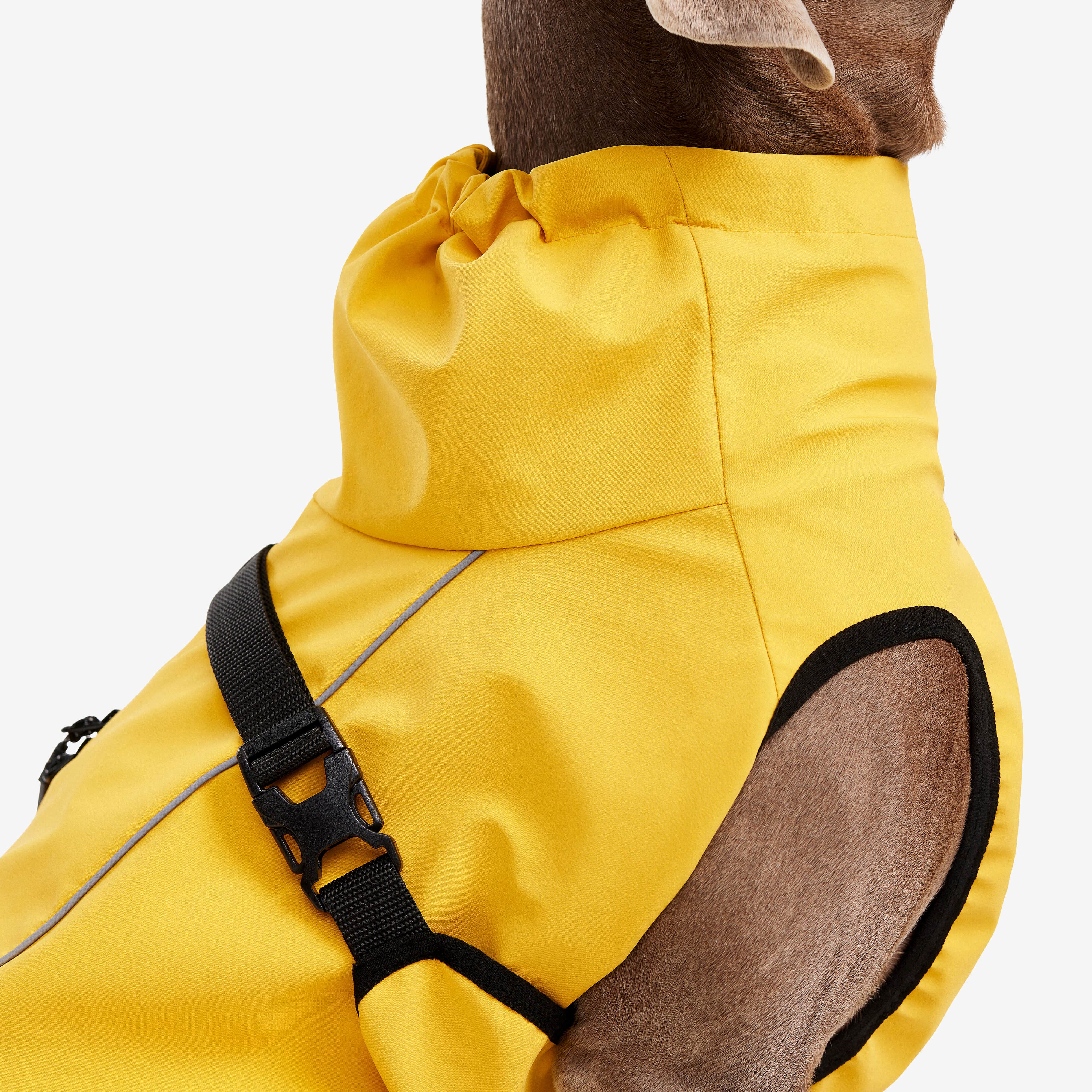 Cyclone Dog Jacket Chien Yellow
