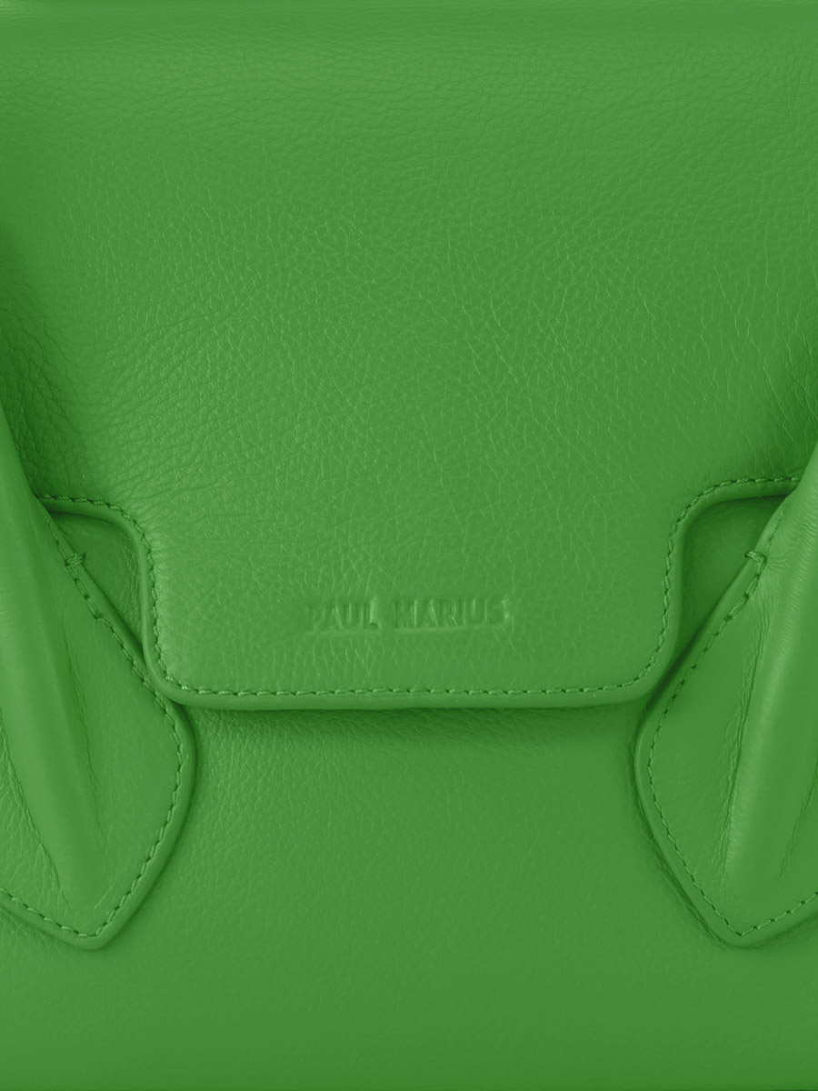 Colette S Sorbet - Kiwi