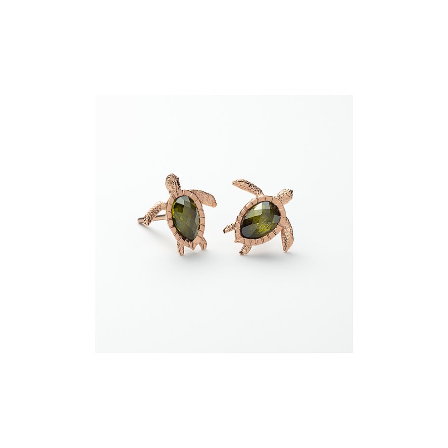 Paul Hewitt Ohrstecker Turtle