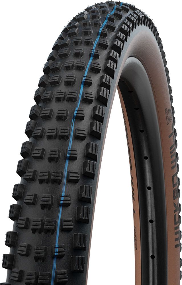 Schwalbe Wicked Will Evo Super Race 29x2,40