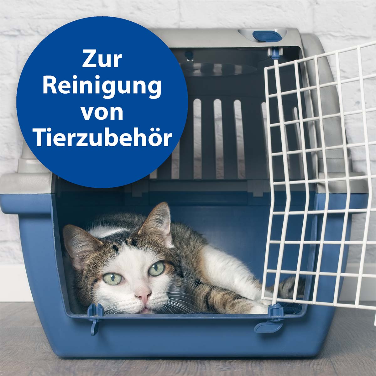 Bactazol Universalreiniger 500ml günstig kaufen