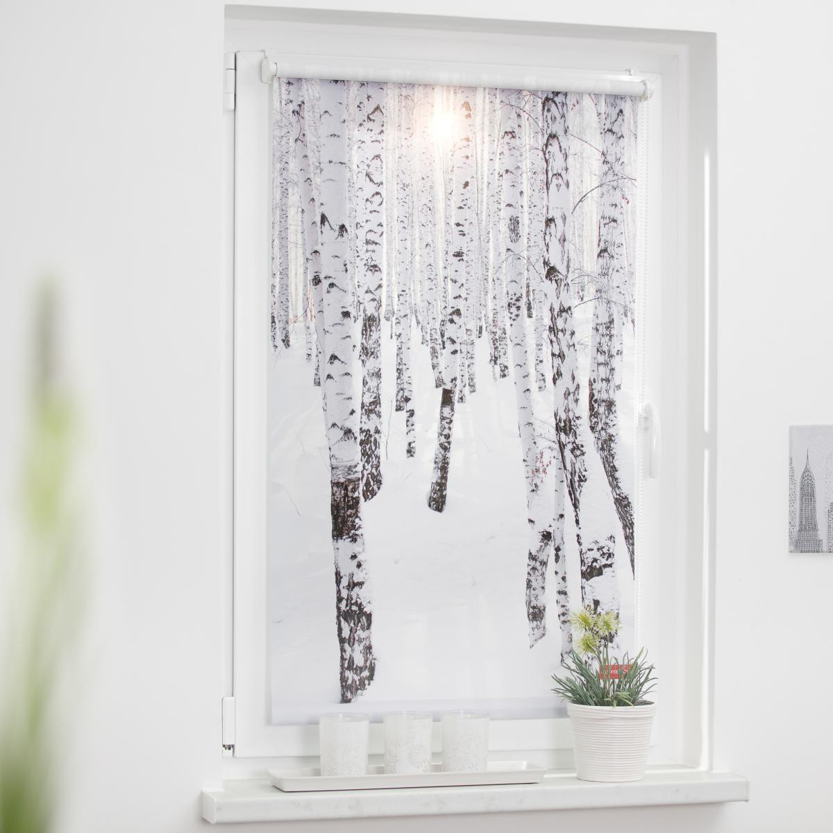 Lichtblick Rollo Klemmfix, ohne Bohren, blickdicht, Birkenwald - Weiß, 60 x 150 cm (B x L)