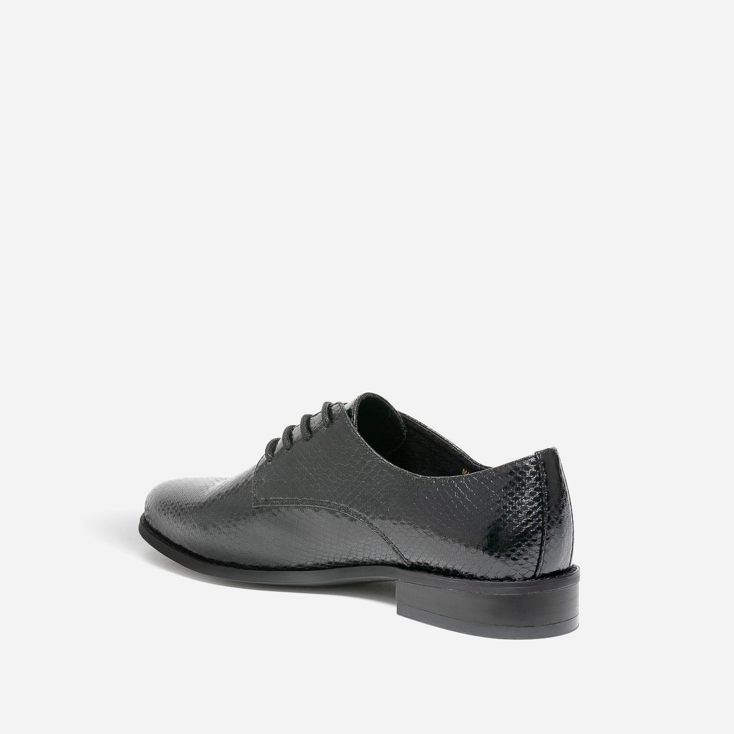Derby éco-conçu noir verni effet python