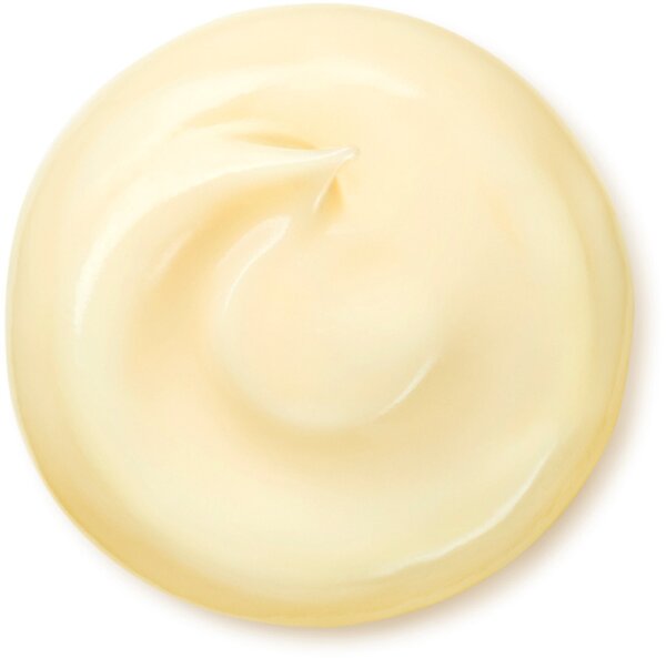 Shiseido Benefiance Wrinkle Smoothing Cream Enriched Gesichtscreme