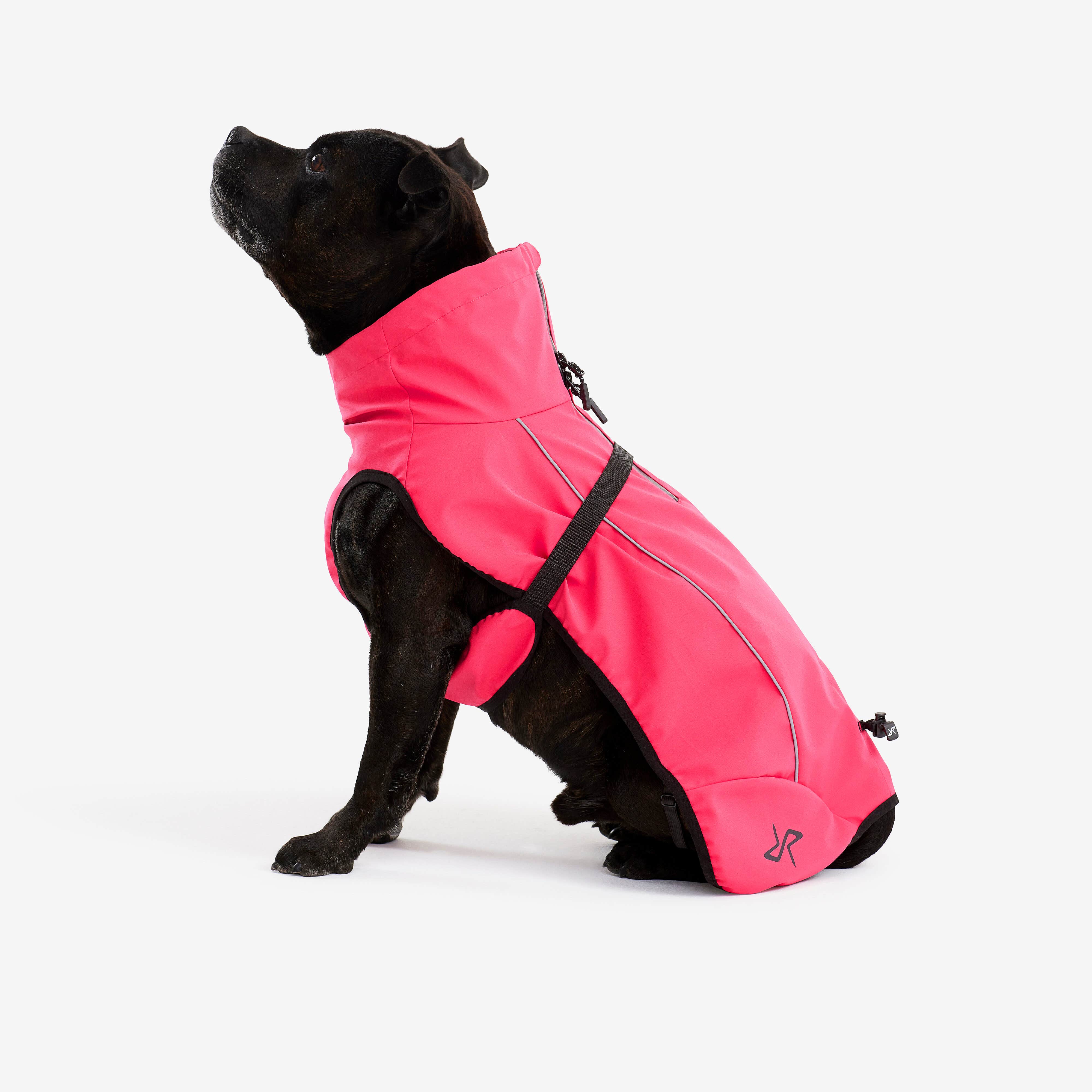 Cyclone Dog Jacket Chien Azalea
