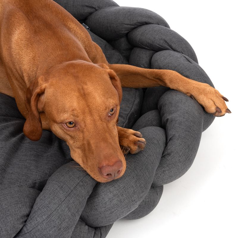 Modern Living Hundebett Durban zu TOP-Preisen