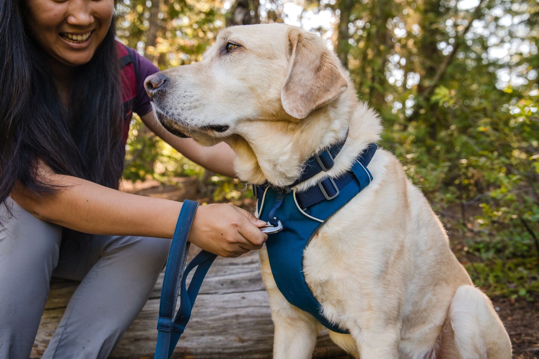 Ruffwear Hundeleinen Ruffwear Front Range™ Leine blau