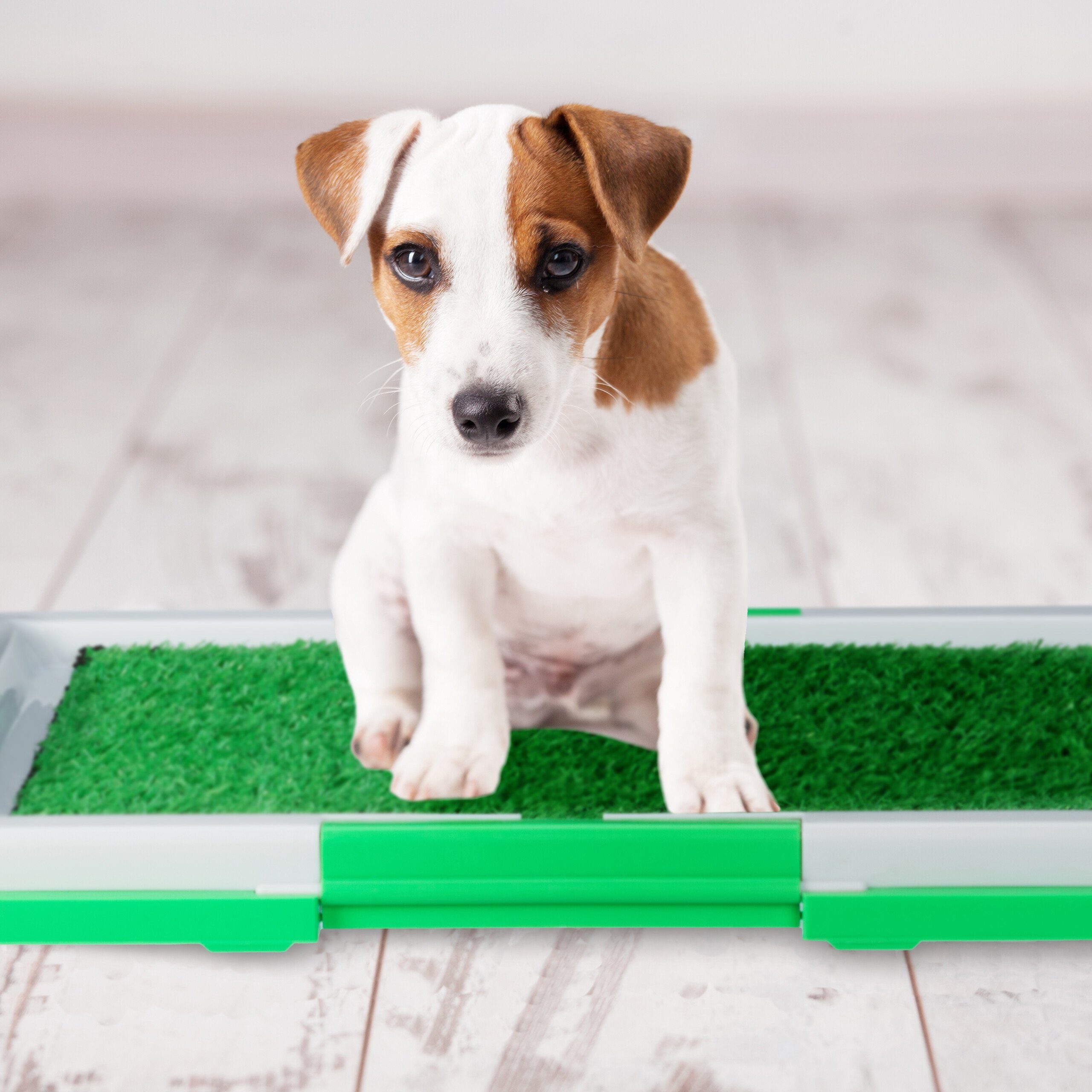 relaxdays Hundetoilette Hundeklo mit Rasen