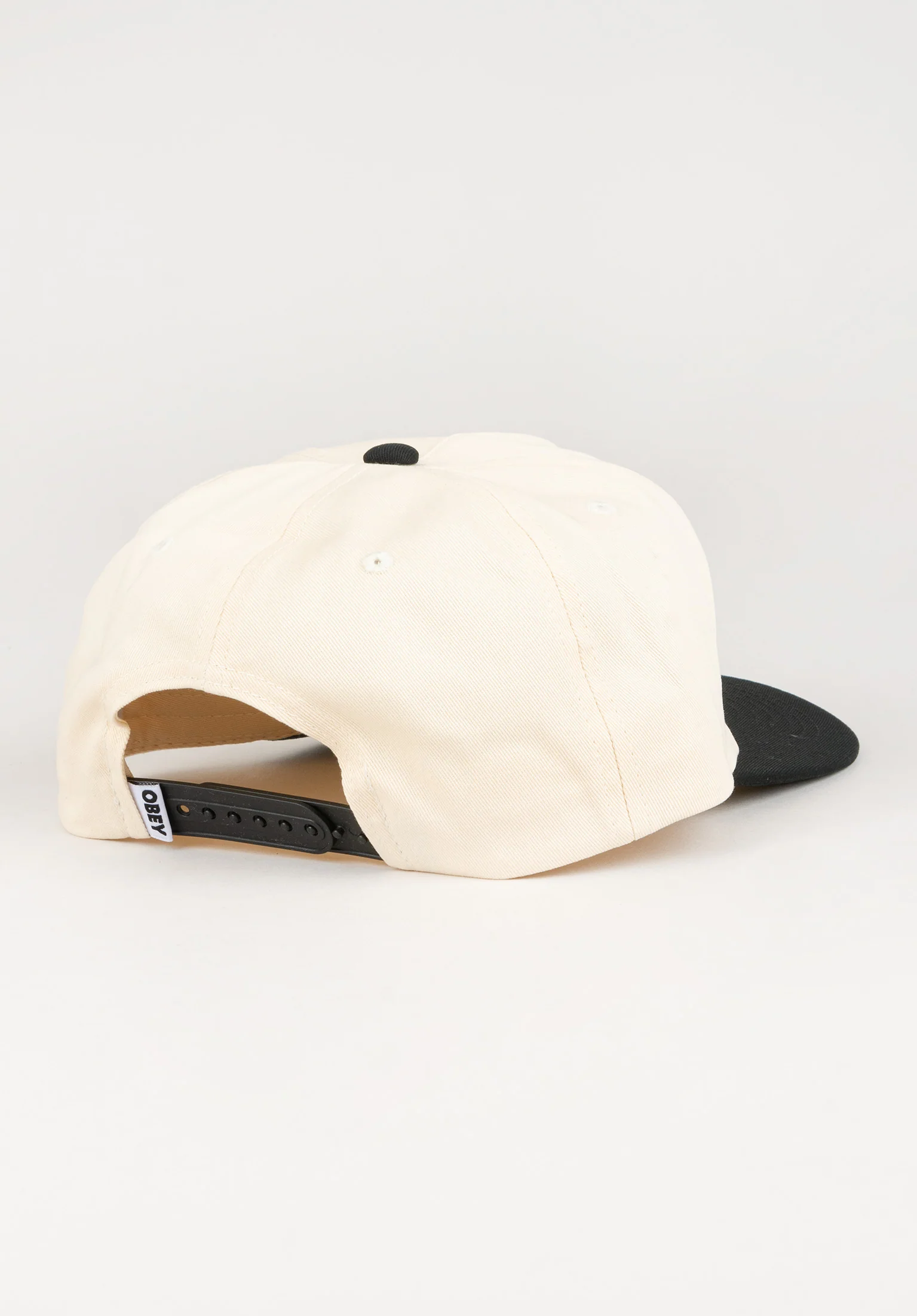 Case 5 Panel