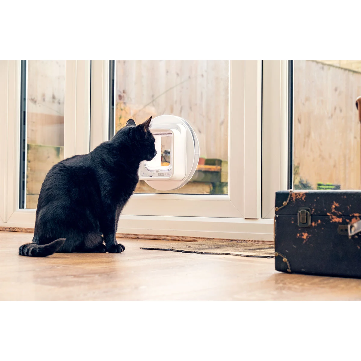 SureFlap Mikrochip Katzenklappe Connect + Hub kaufen
