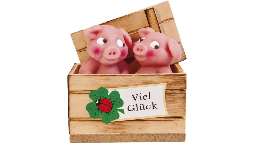 Funsch Schweinekiste 50 g