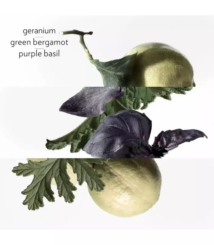 EAU DE BASILIC POURPRE  Eau de Cologne Vaporisateur
