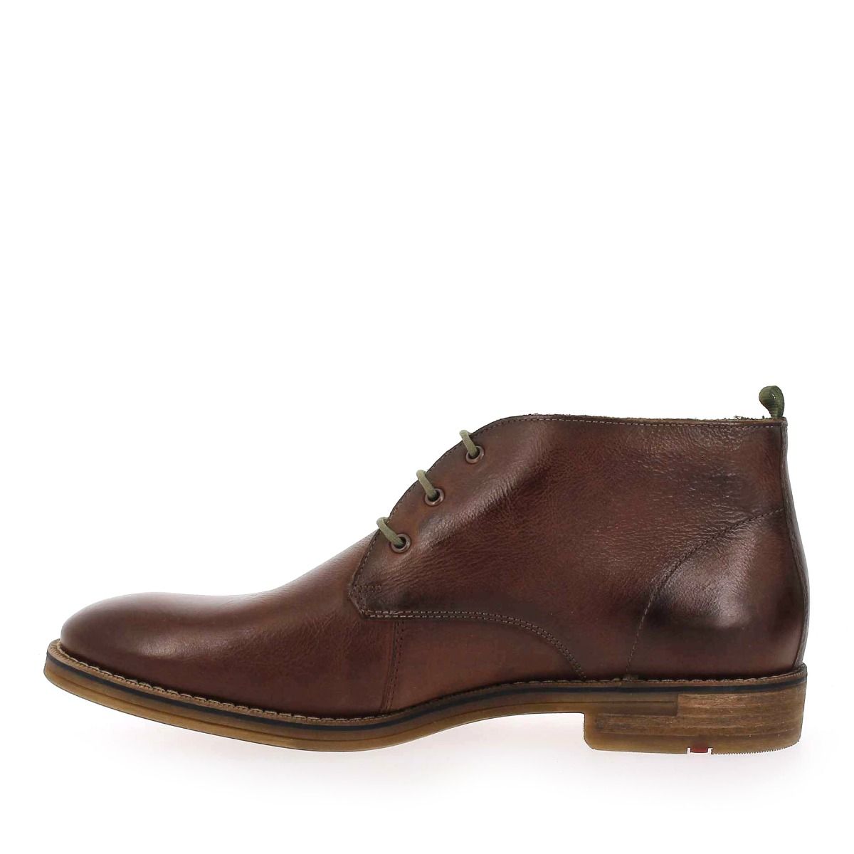 Lloyd  DARTMOOR - Marron