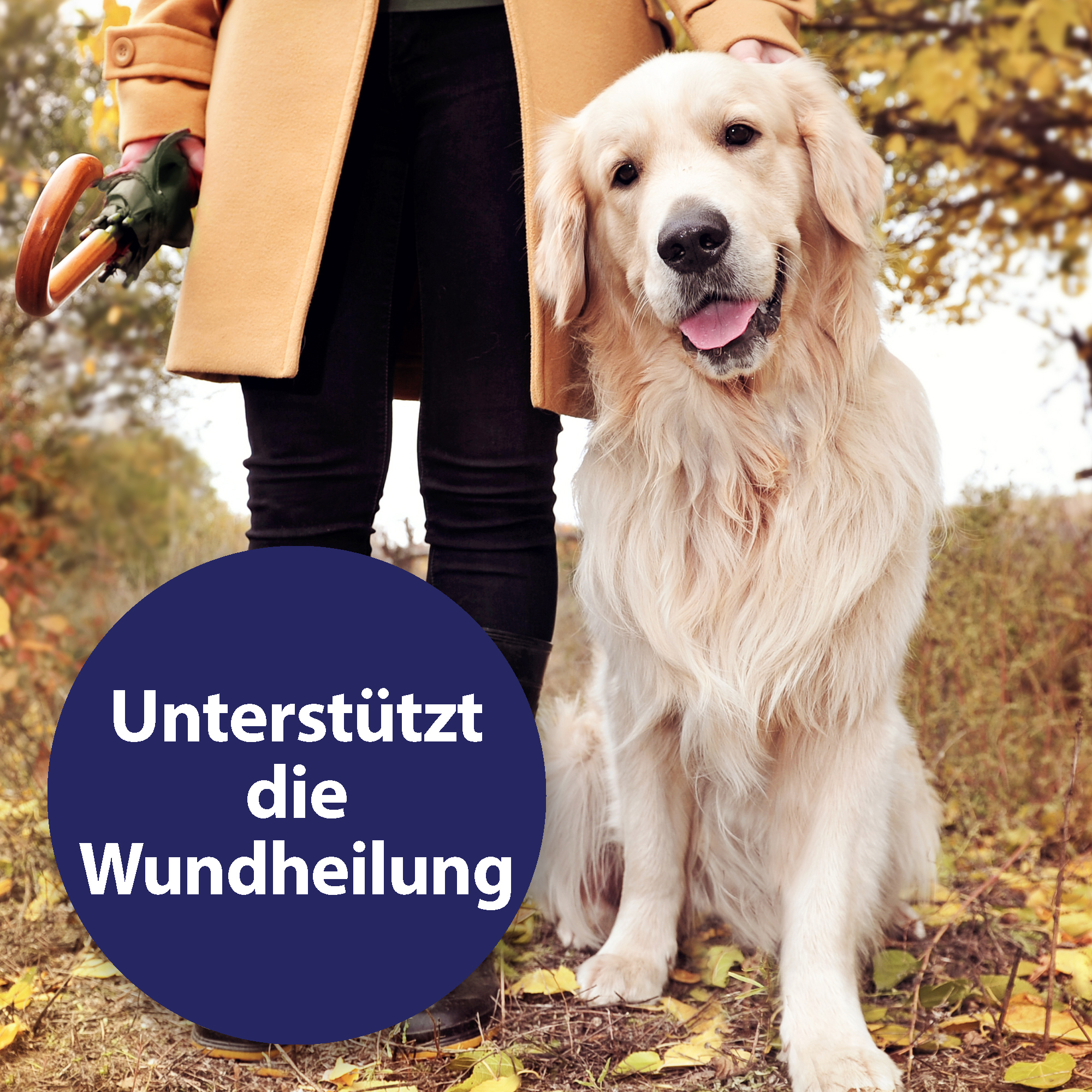Canosept Fellpflege Canosept Wundspray für Hunde 75 ml