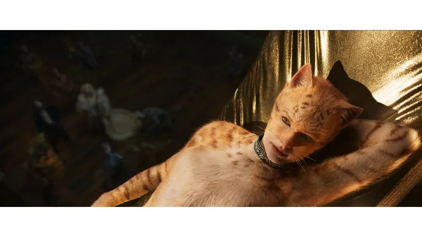 Cats