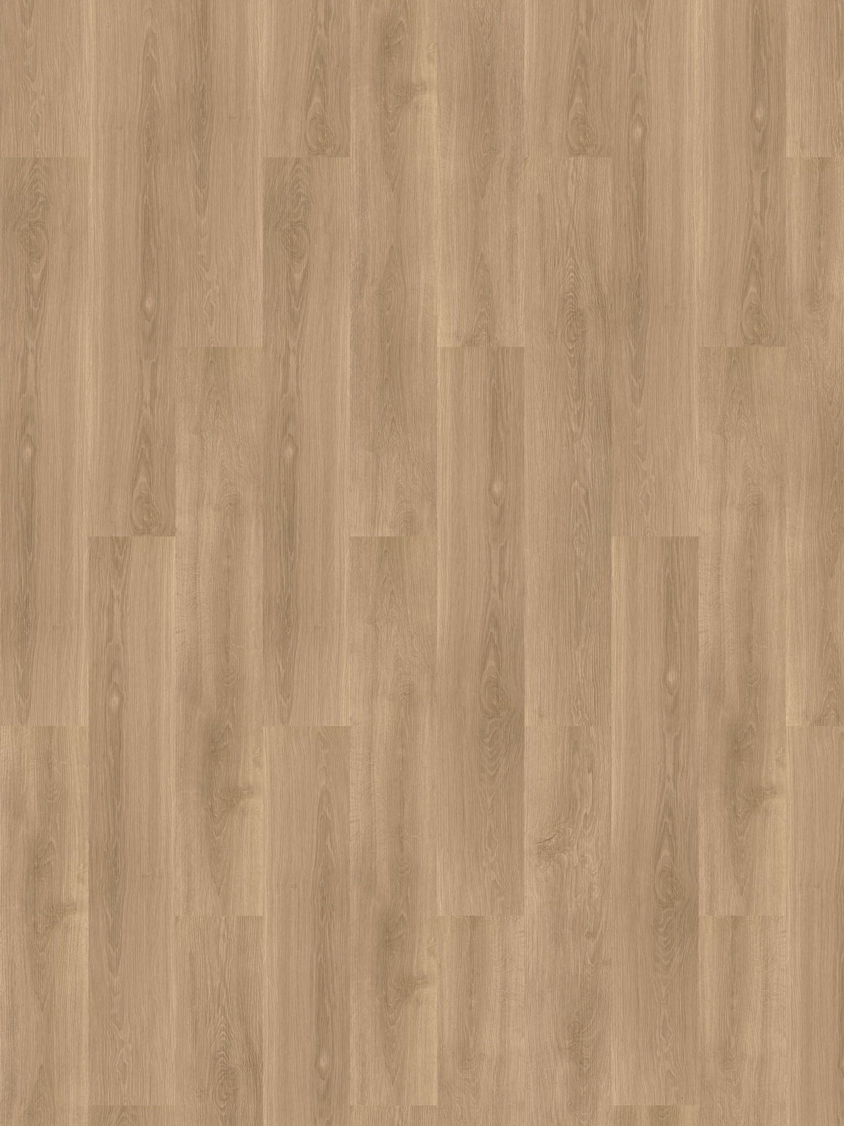 Svortland Vinylboden, Spring Oak Coll23302