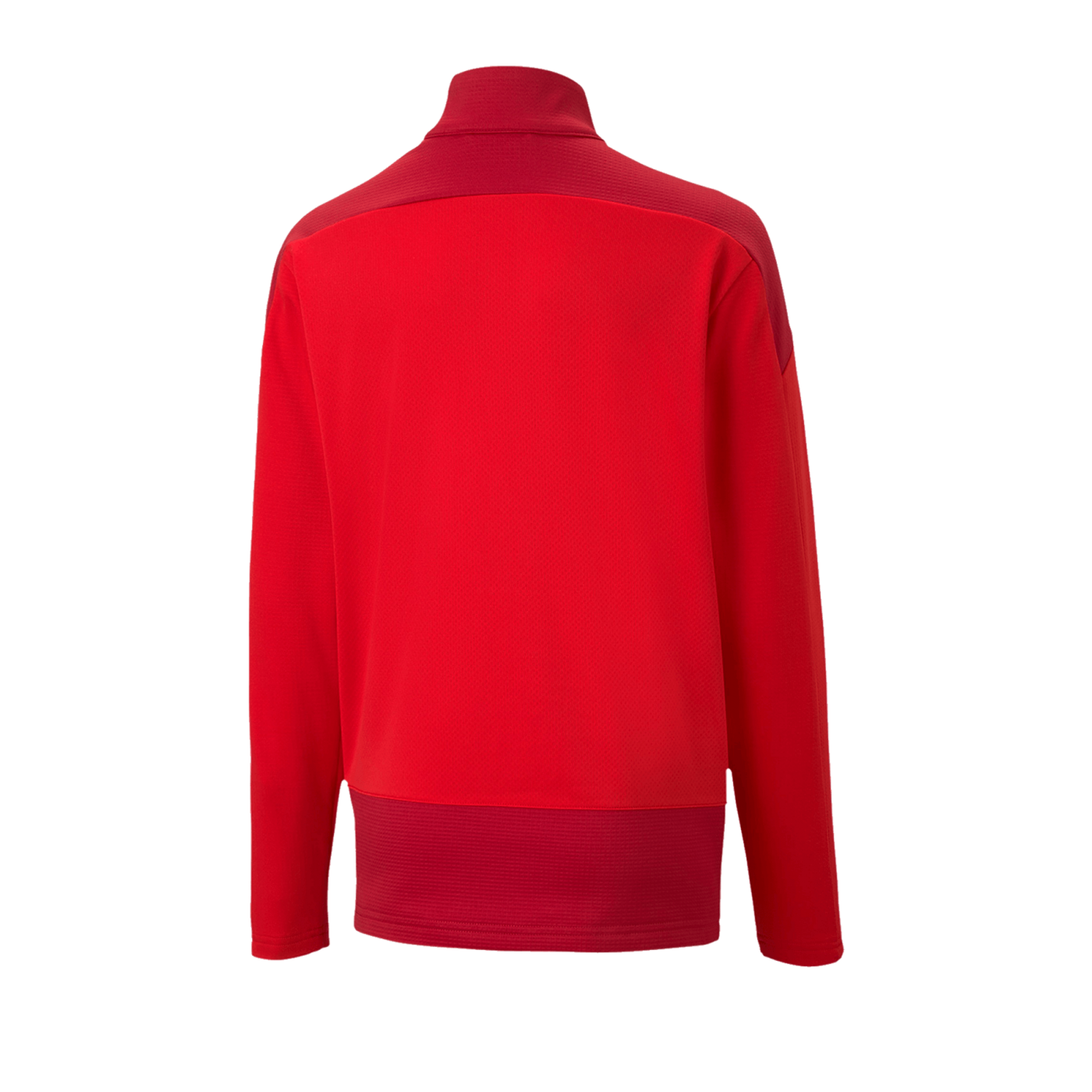 PUMA teamGOAL 23 Training 1/4 Zip Top Kids Rot F01
