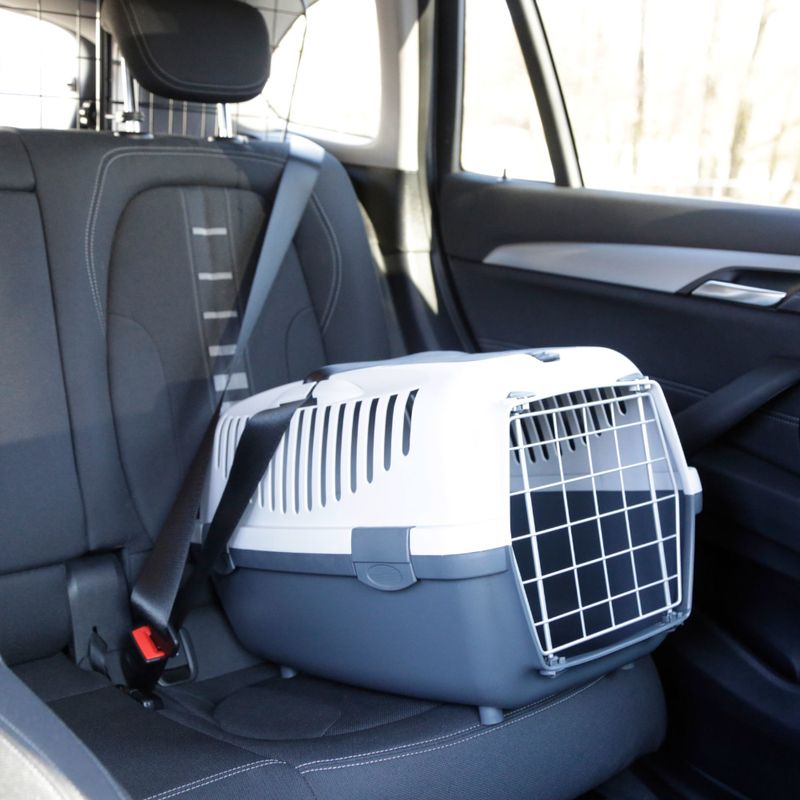 Kerbl Pet Transportbox Gulliver zu TOP-Preisen