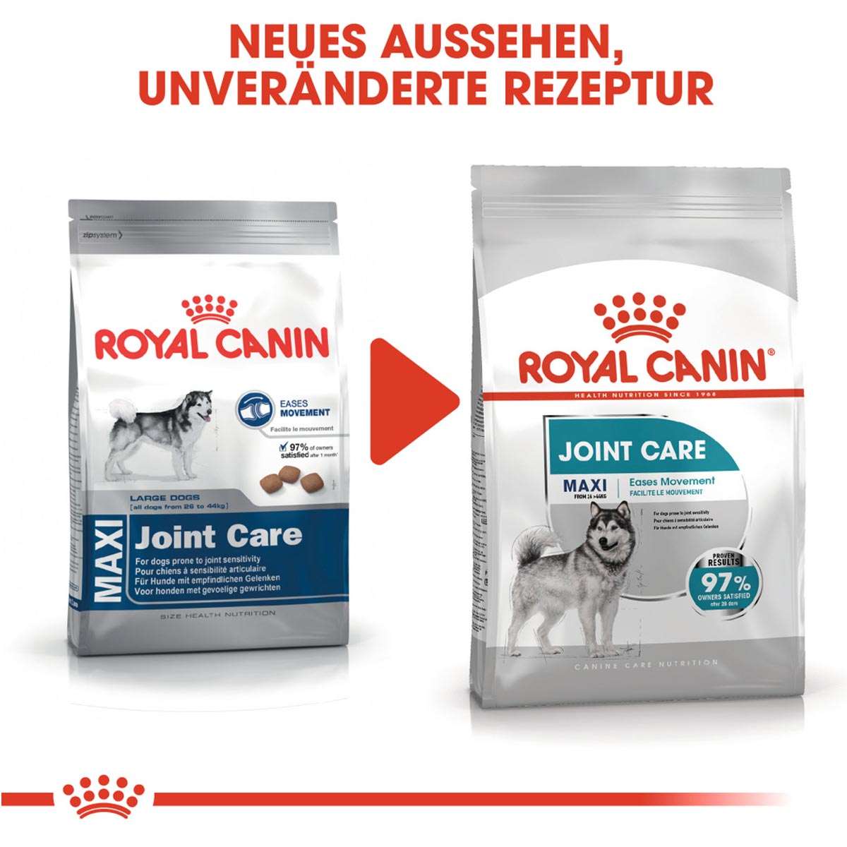 ROYAL CANIN JOINT CARE MAXI Trockenfutter für große Hunde mit empfindlichen Gelenken
