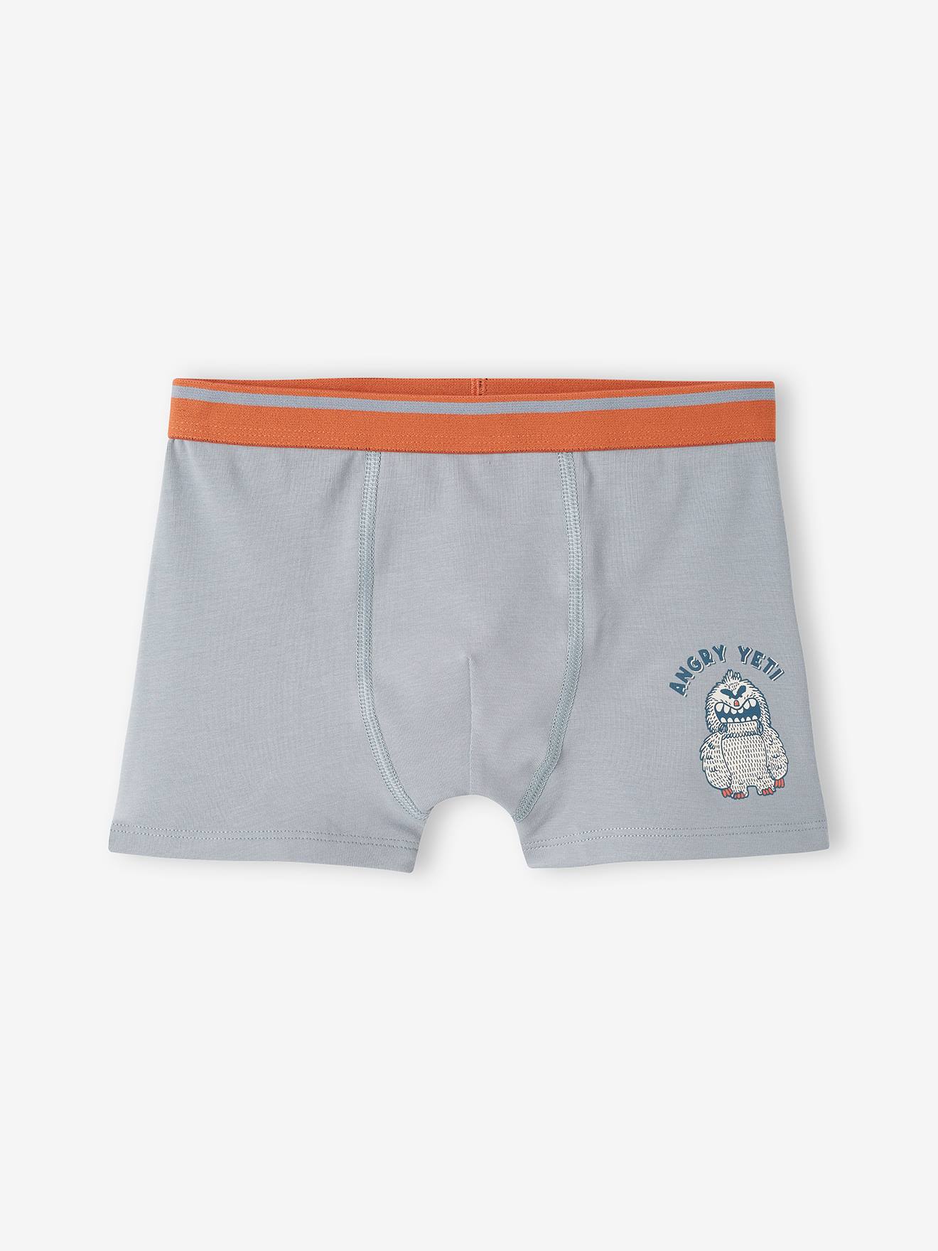 Vertbaudet 5er-Pack Jungen Stretch-Boxershorts, Yeti - graublau