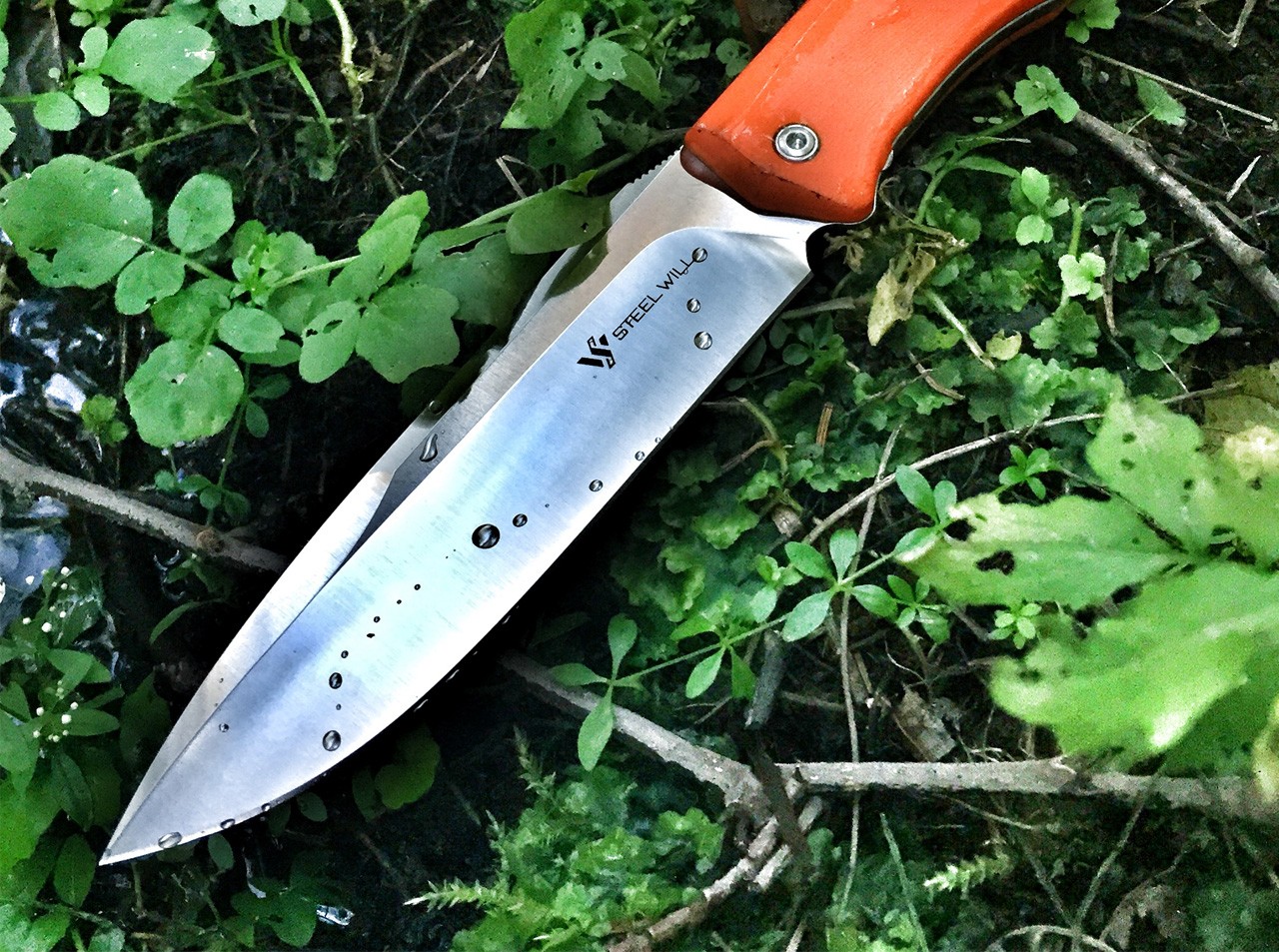 Gekko 1533