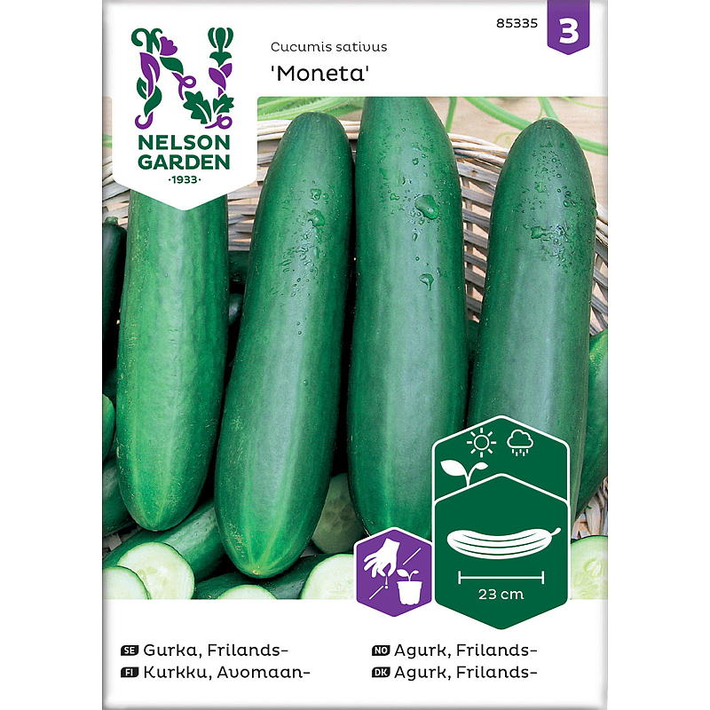 Nelson garden Frø Agurk Frilands-, Moneta