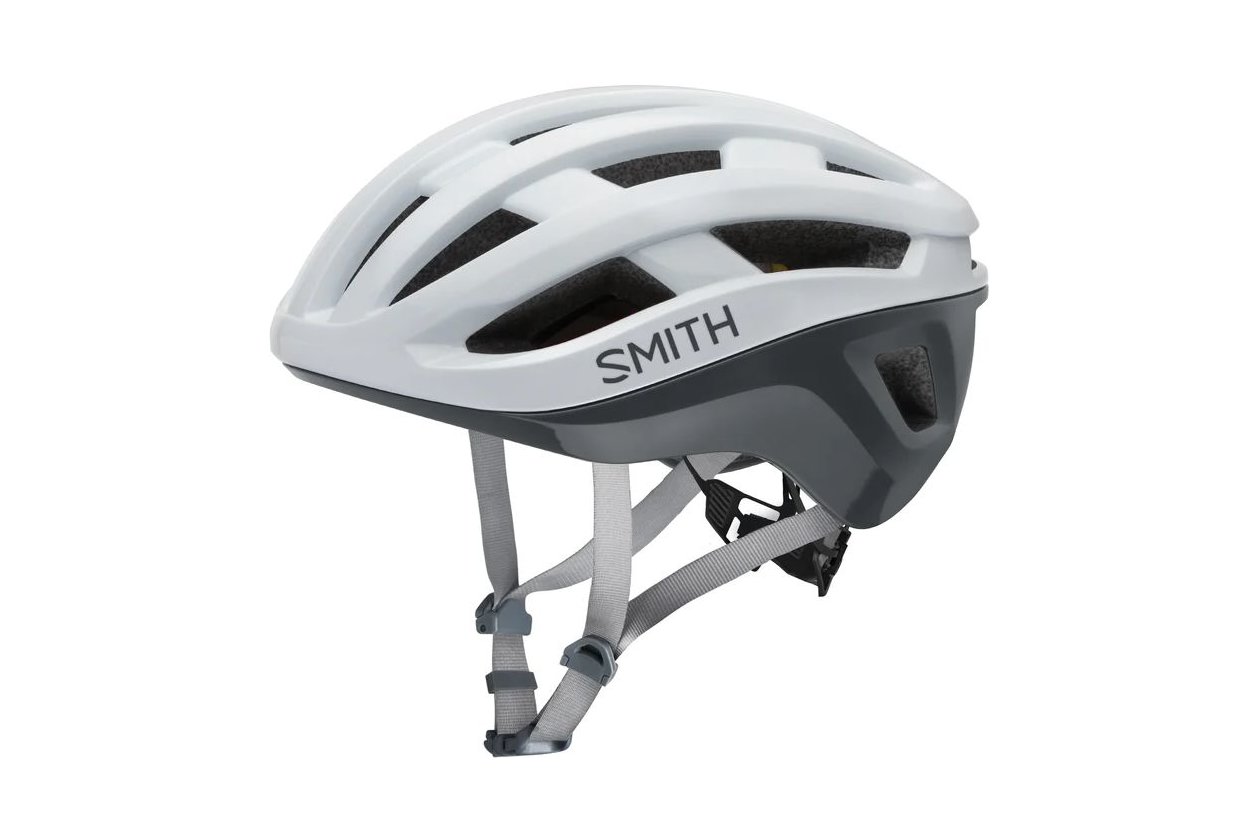 Smith Persist MIPS