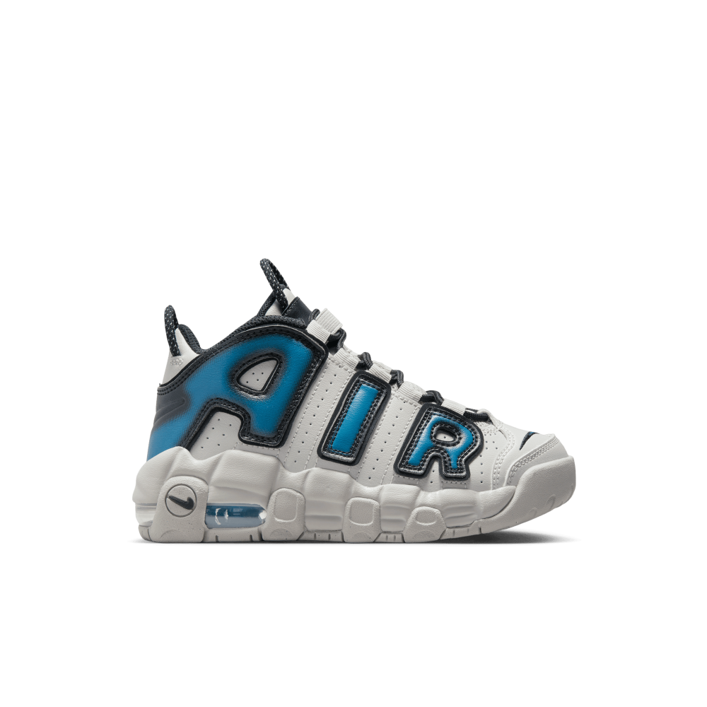 Nike Air More Uptempo FJ1389-001 / grau