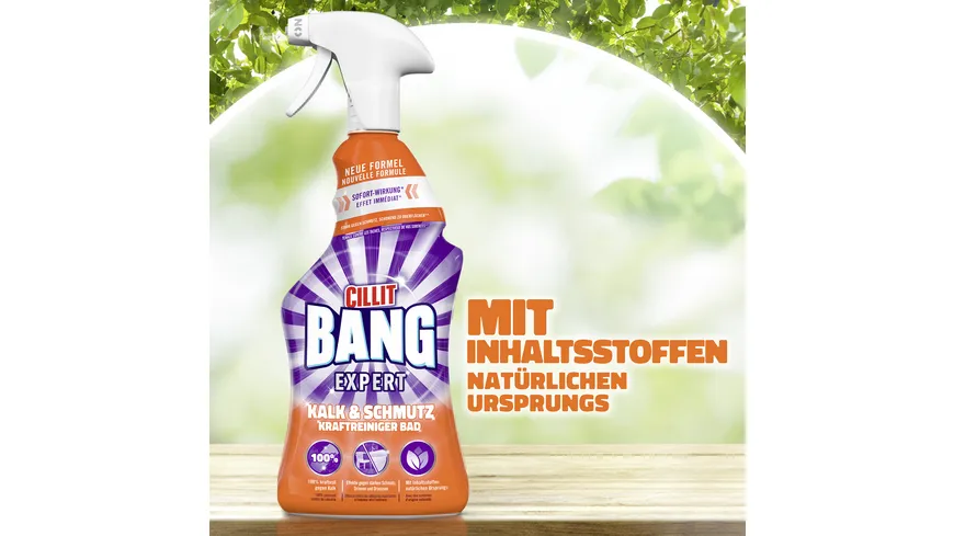 Cillit Bang Kraftreiniger Kalk & Schmutz 750ml 750 ml