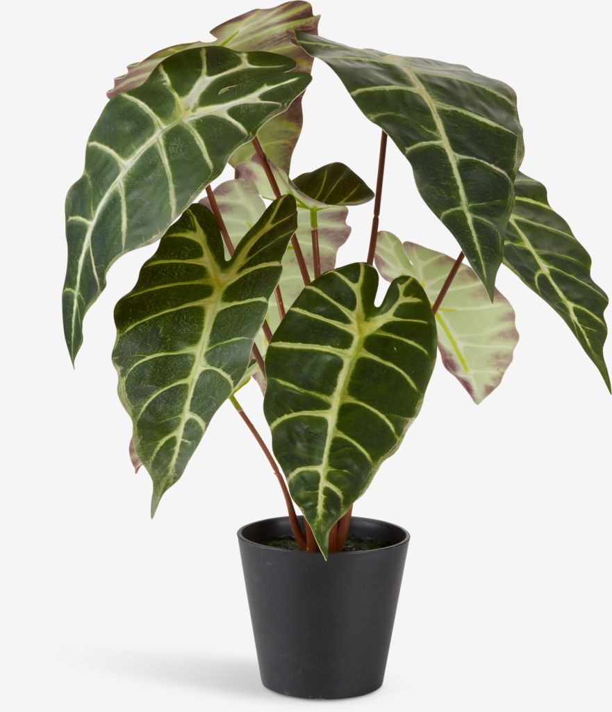 MARIUS Planta artificial MARIUS Ø38xH42cm