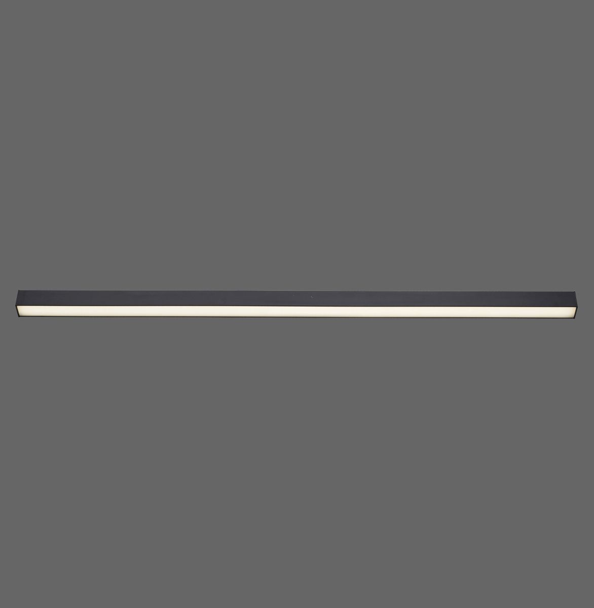 Paul Neuhaus LED Deckenlampe Pure-Lines Anthrazit 110 x 3,8 cm