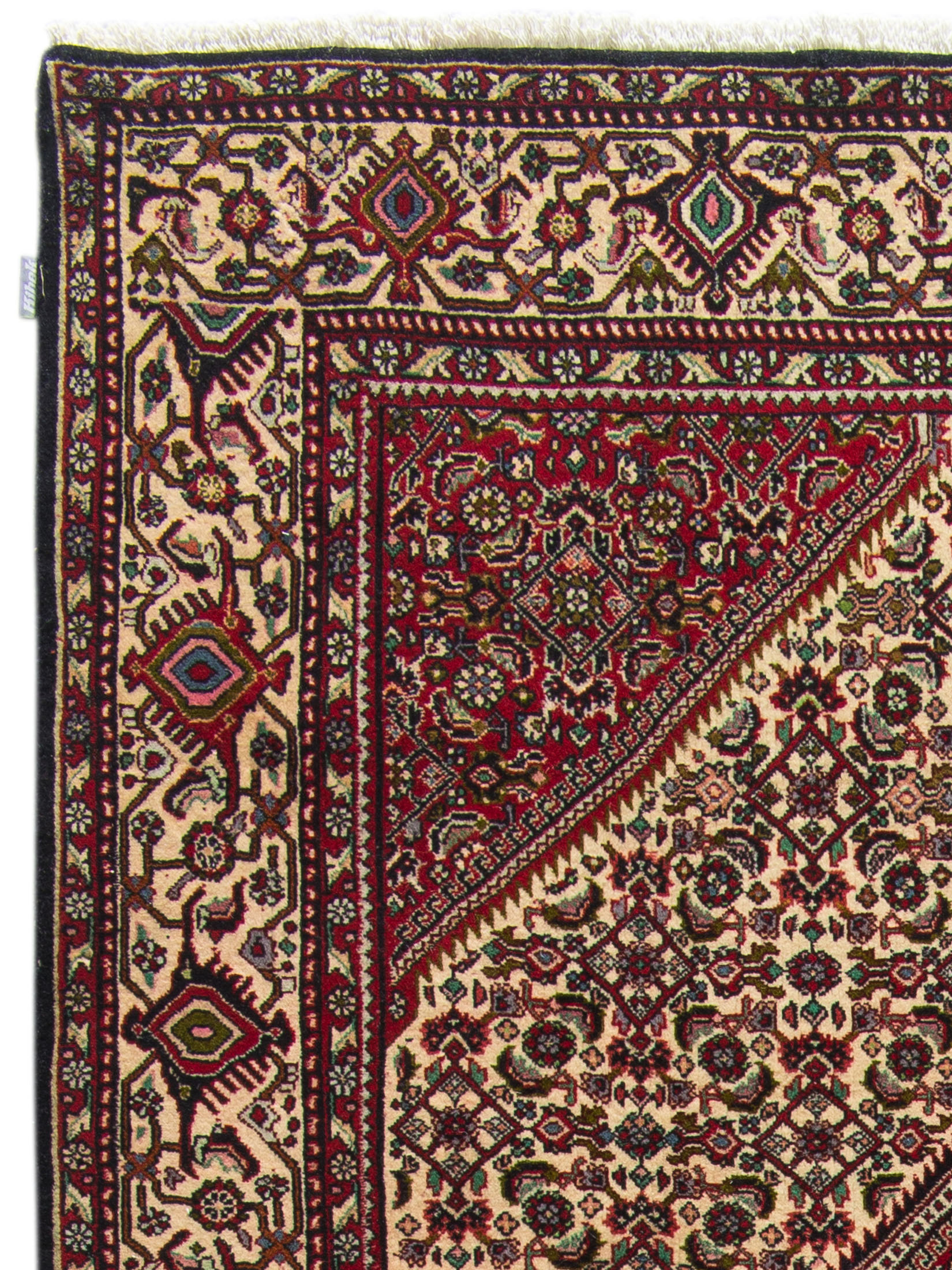 Bidjar Zandjan ca. 212 x 312 cm, Unikat / Einzelstück