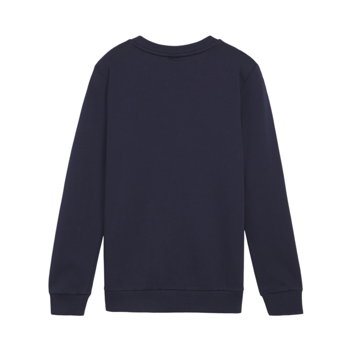 PUMA teamGOAL Casuals Sweatshirt Kids Blau F06