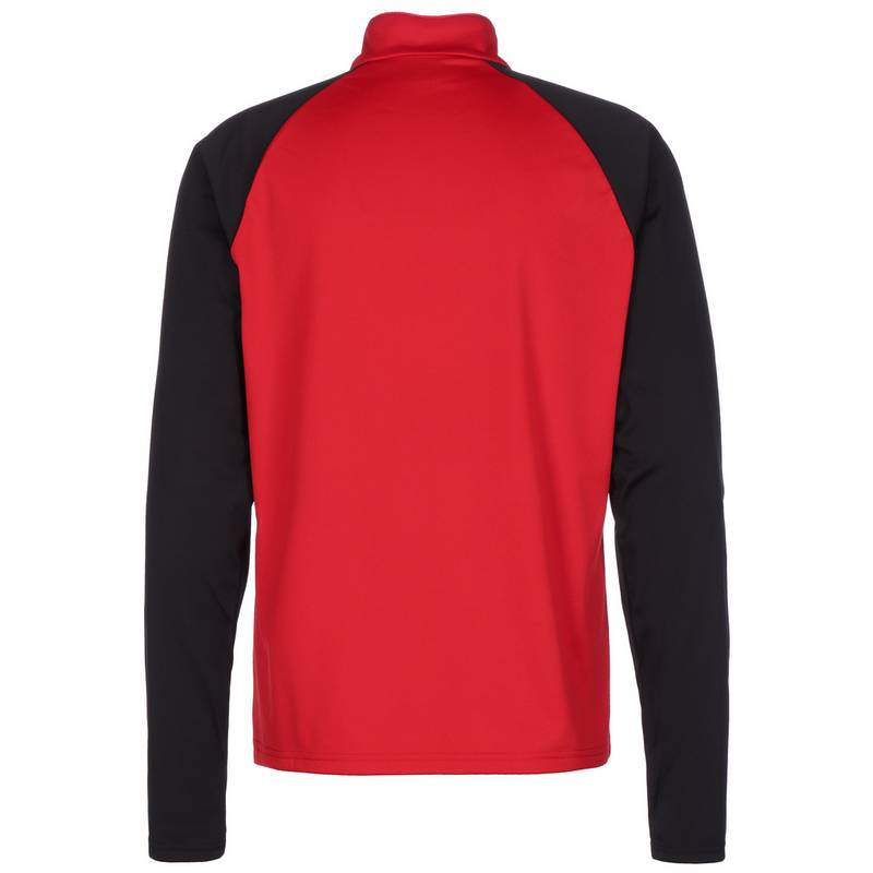PUMA TeamLIGA 1/4 Zip Funktionssweatshirt Herren